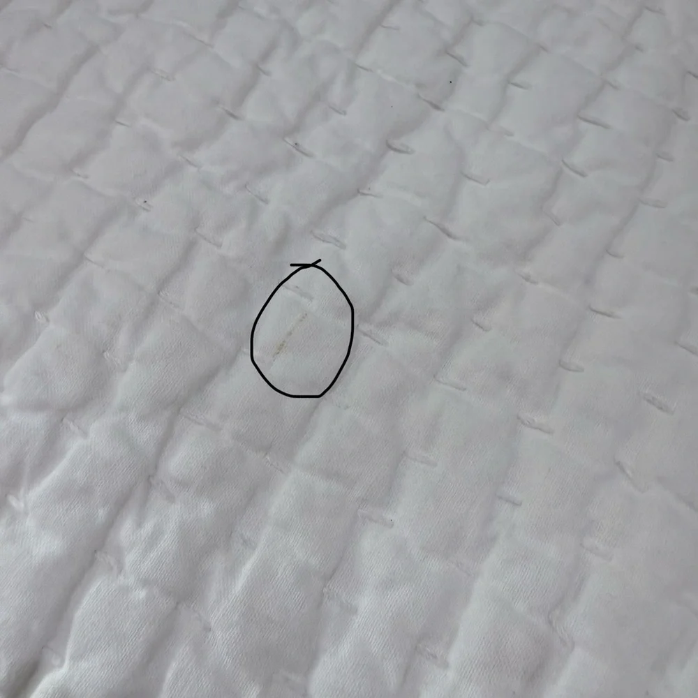 Pottery Barn King Shams - Picture 10 of 11